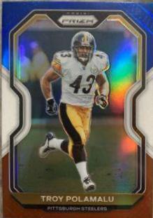 Troy Polamalu