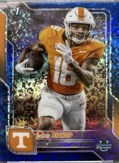 DeSean Bishop