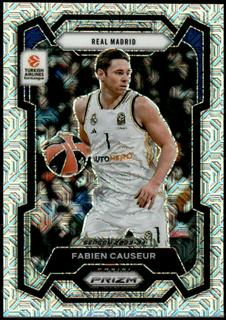 Fabien Causeur