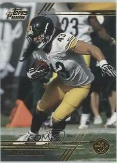 Troy Polamalu