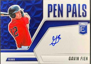 Gavin Fien