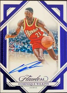 Dominique Wilkins