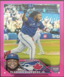 Vladimir Guerrero