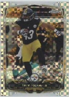 Troy Polamalu