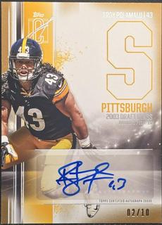 Troy Polamalu