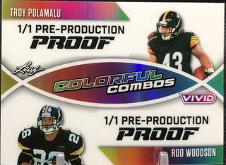 Troy Polamalu / Rod Woodson