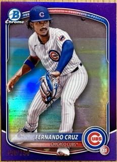 Fernando Cruz