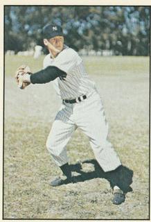 Jackie Jensen