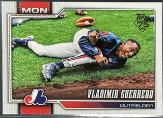 Vladimir Guerrero