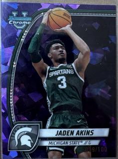 Jaden Akins