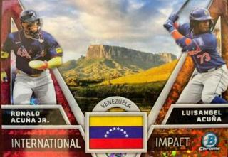 Luisangel Acuna / Ronald Acuna Jr.