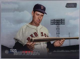 Ted Williams