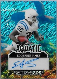 Edgerrin James