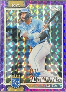 Salvador Perez