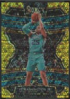 PJ Washington Jr.