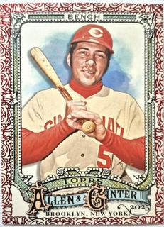 Johnny Bench