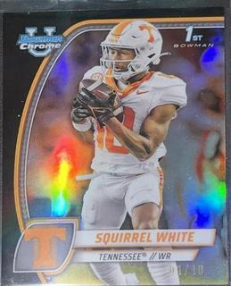 Squirrel White