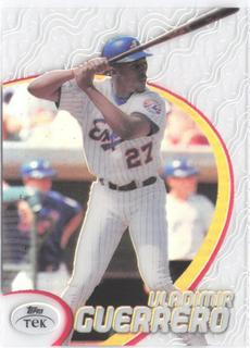 Vladimir Guerrero