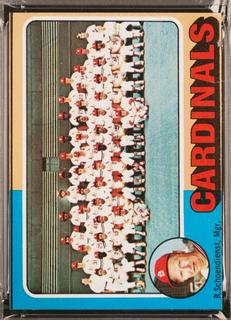 Cardinals Team
