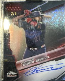 Vladimir Guerrero Jr.