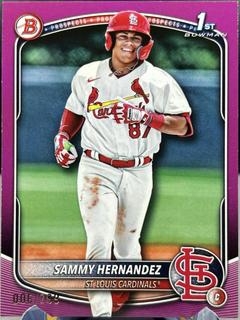 Sammy Hernandez