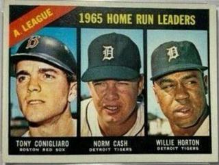 American League 1965 Home Run Leaders