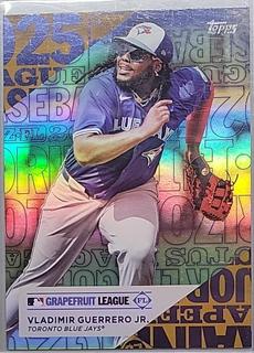 Vladimir Guerrero Jr.