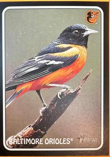 Baltimore Orioles