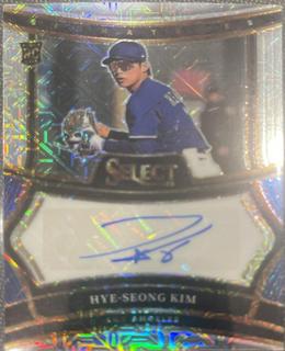 Hye-Seong Kim