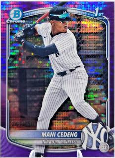 Mani Cedeno