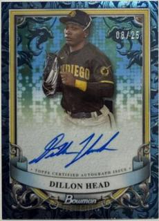 Dillon Head