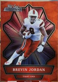 Brevin Jordan