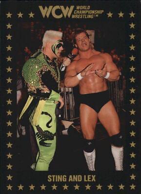 Sting and Lex #40 Wrestling Cards 1991 Championship Marketing WCW