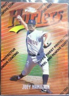Joey Hamilton