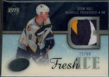 Adam Hall #FIP-AH Hockey Cards 2005 Upper Deck Ice Fresh Glass Patch