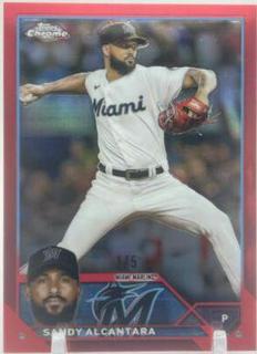 Sandy Alcantara