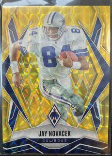 Jay Novacek