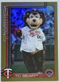 TC Bear