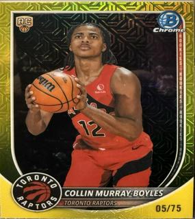 Collin Murray-Boyles