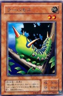 Larvae Moth RB-07
