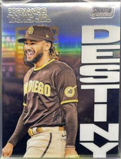 Fernando Tatis Jr.