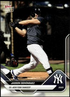 Jasson Dominguez