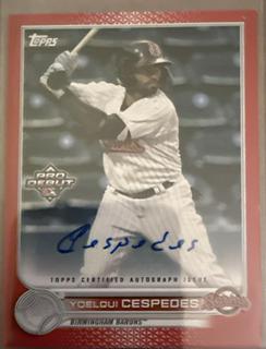 Yoelqui Cespedes