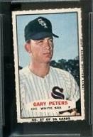 Gary Peters