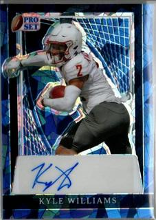 Kyle Williams