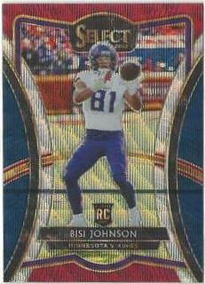 Bisi Johnson