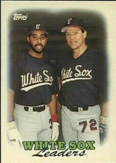 White Sox Leaders
