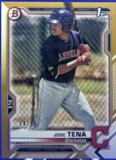 Jose Tena