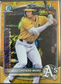 Shotaro Morii