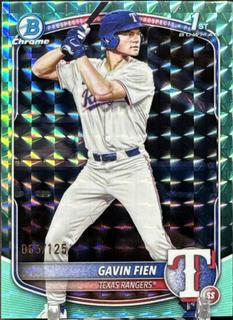 Gavin Fien